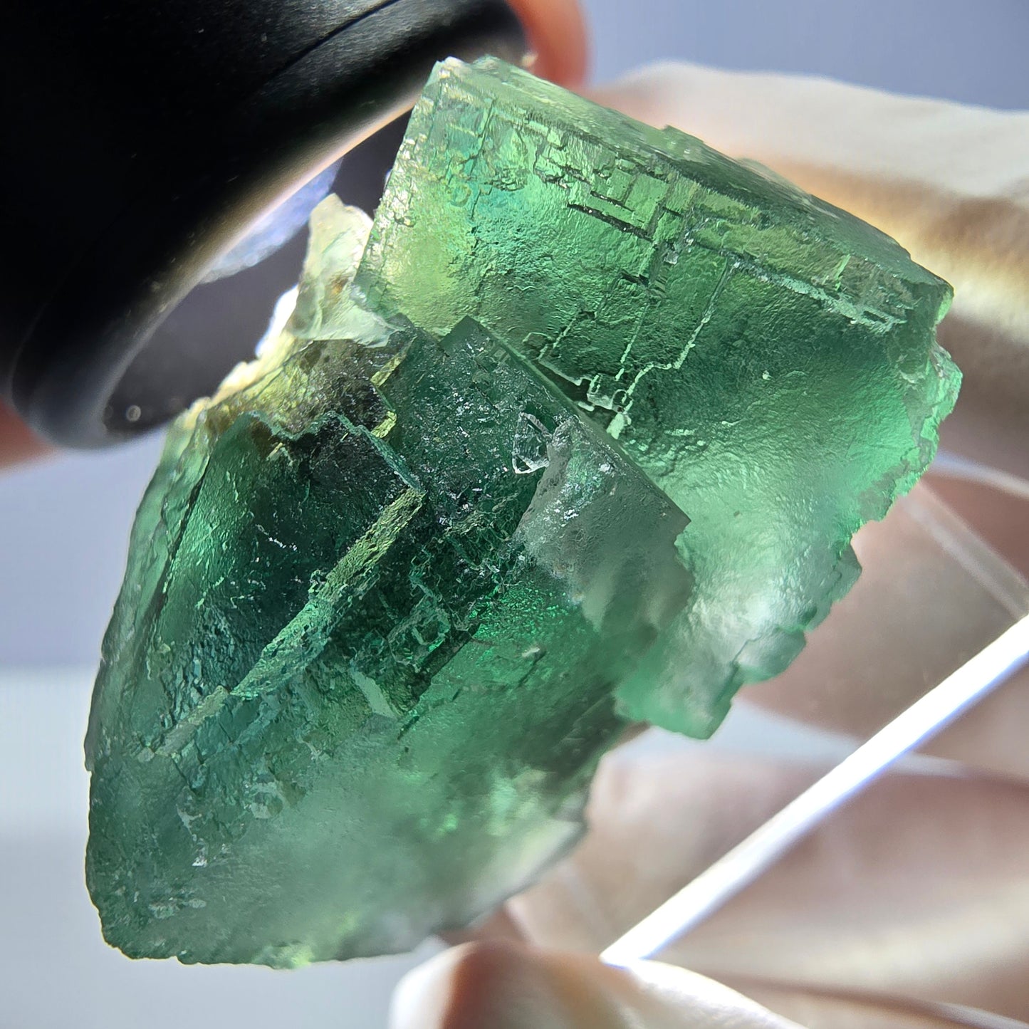 Spécimen de cube de fluorite fantôme, vert parqueté Okorusu, Namibie 34*34*30mm 