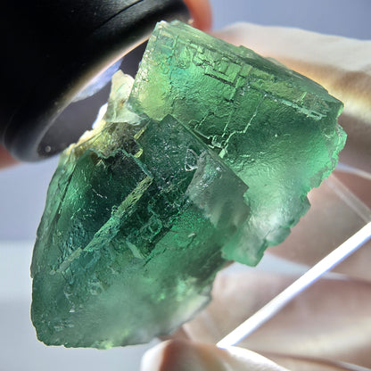 Spécimen de cube de fluorite fantôme, vert parqueté Okorusu, Namibie 34*34*30mm 