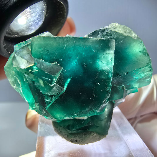 Spécimen de cube de fluorite fantôme, vert parqueté Okorusu, Namibie 40*31*23mm 