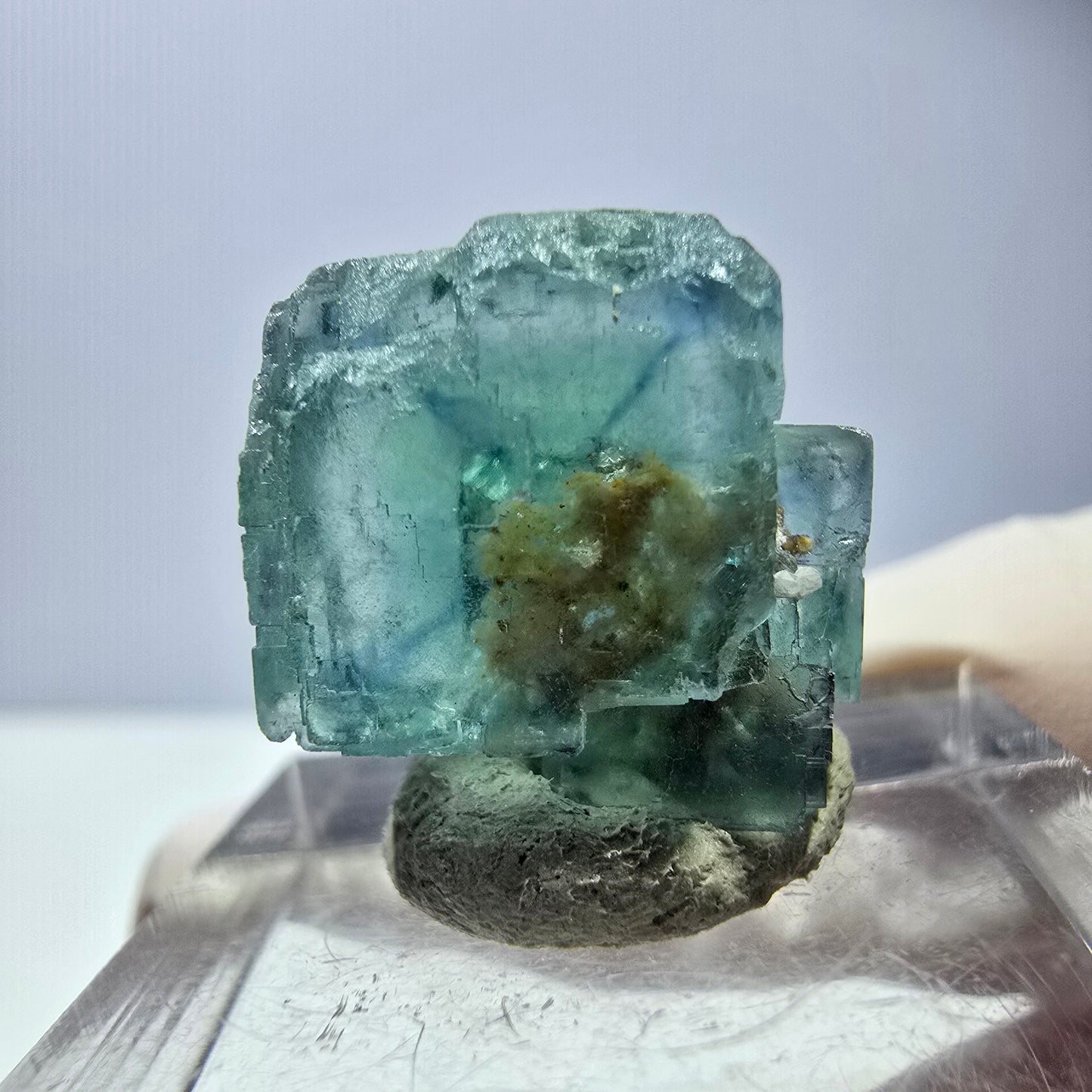 Spécimen de cube de fluorite fantôme, vert parqueté Okorusu, Namibie 16*16*16mm 