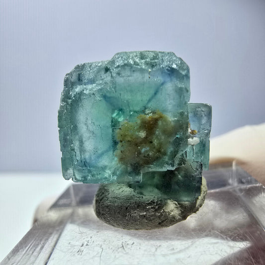 Spécimen de cube de fluorite fantôme, vert parqueté Okorusu, Namibie 16*16*16mm 