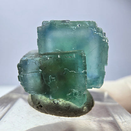 Spécimen de cube de fluorite fantôme, vert parqueté Okorusu, Namibie 16*16*16mm 
