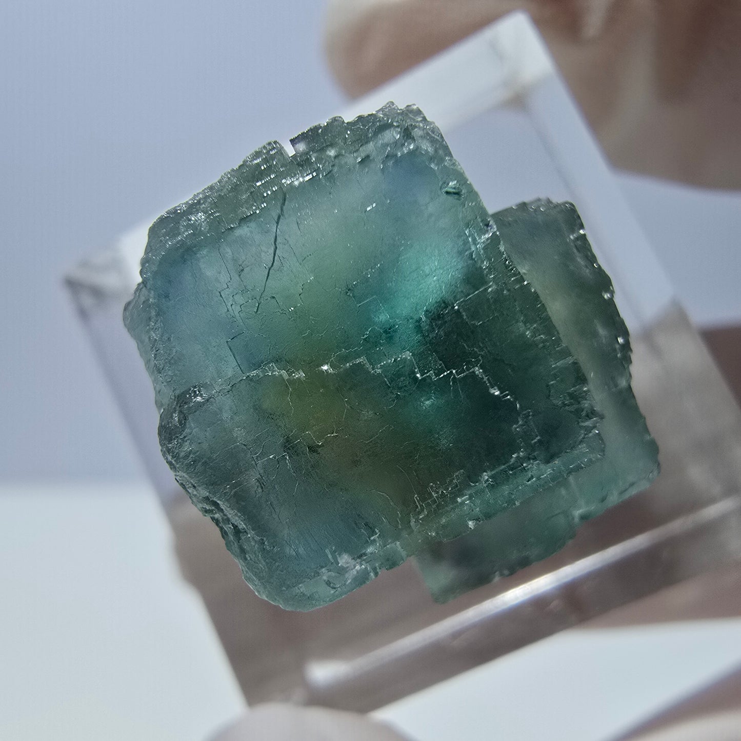 Spécimen de cube de fluorite fantôme, vert parqueté Okorusu, Namibie 16*16*16mm 