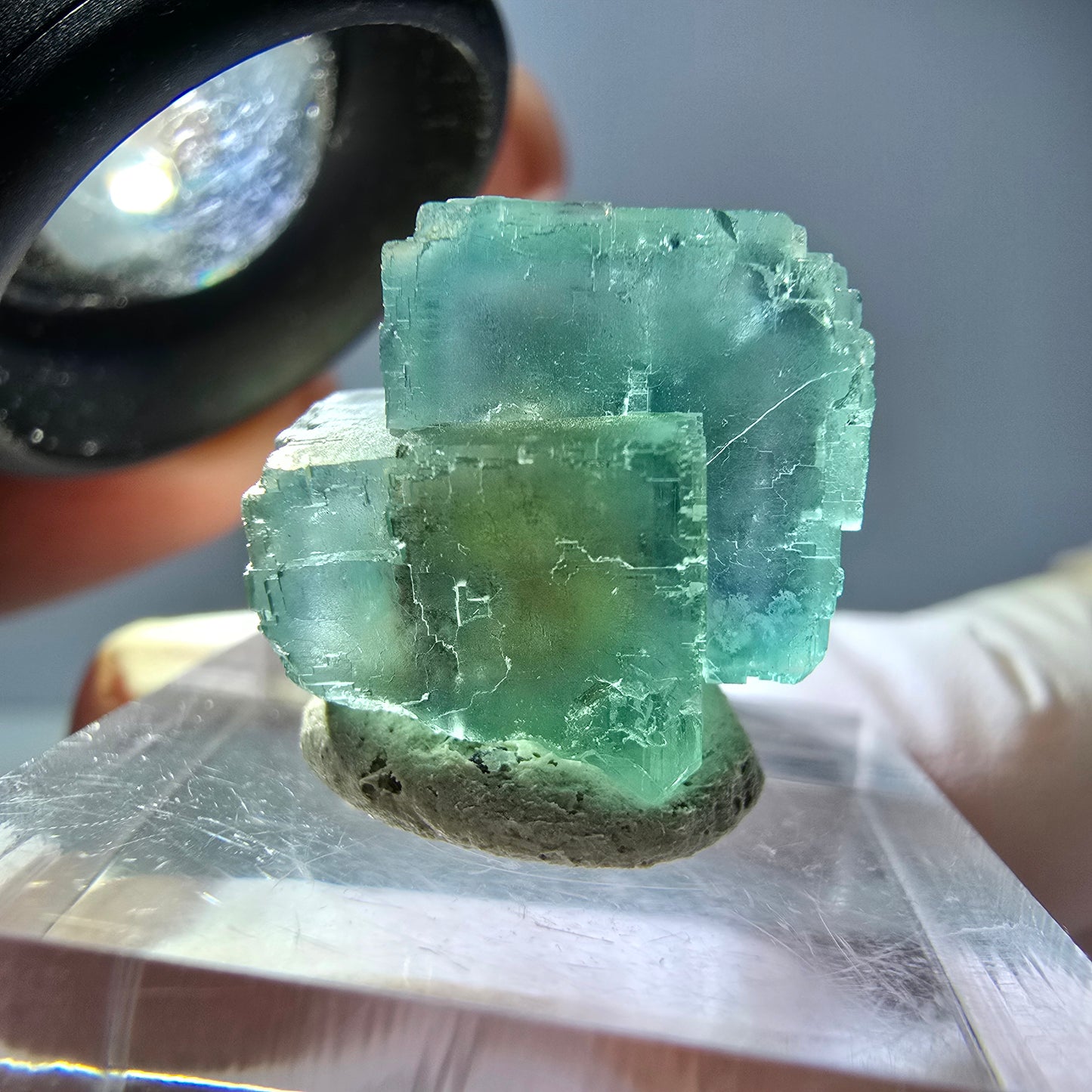 Spécimen de cube de fluorite fantôme, vert parqueté Okorusu, Namibie 16*16*16mm 