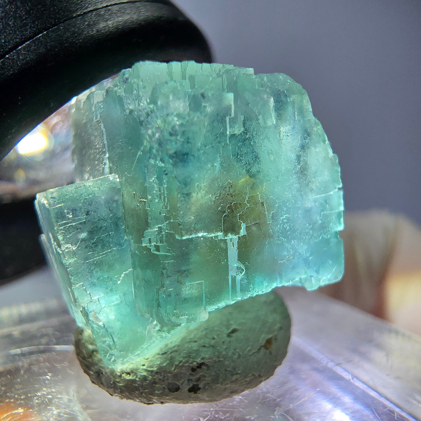 Spécimen de cube de fluorite fantôme, vert parqueté Okorusu, Namibie 16*16*16mm 