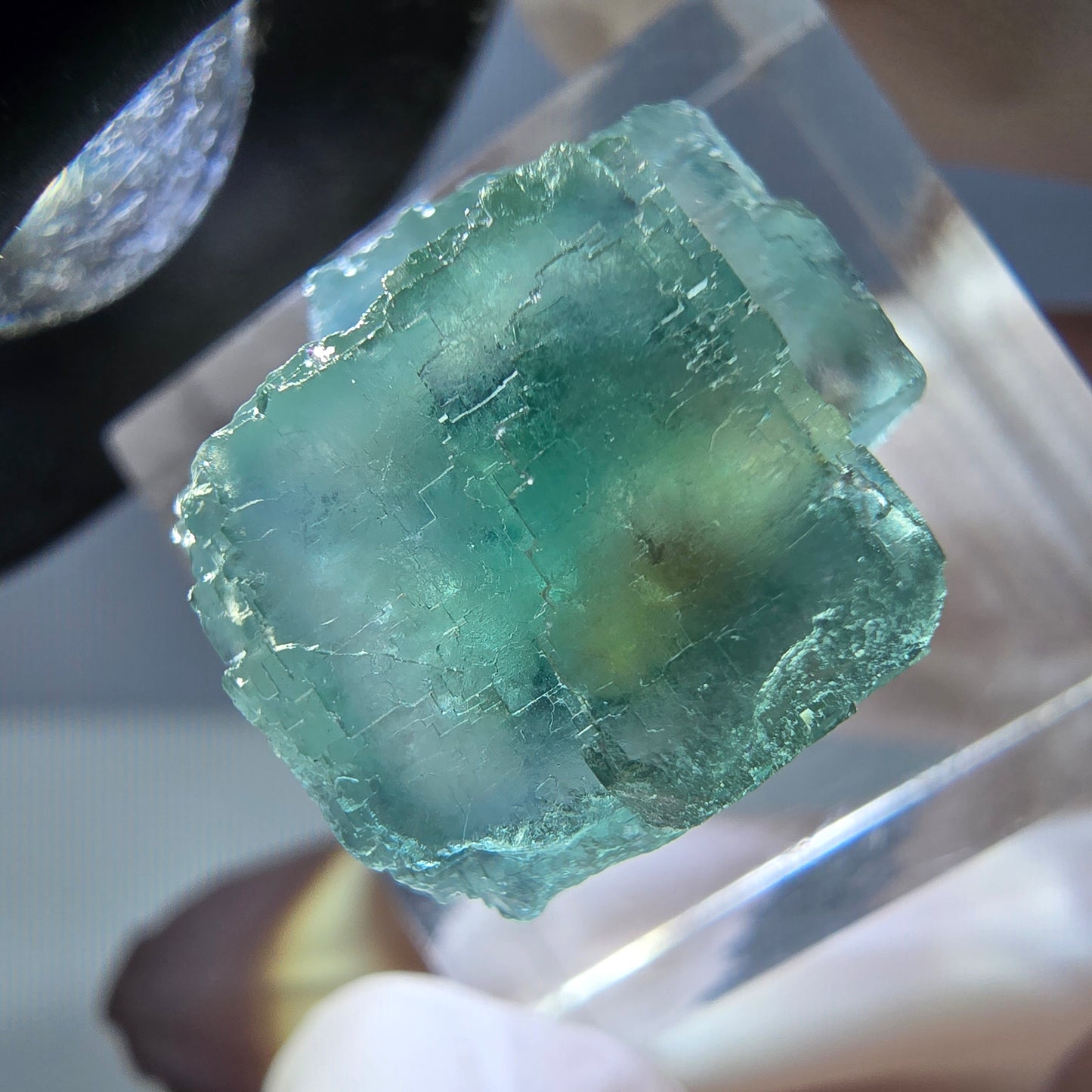 Spécimen de cube de fluorite fantôme, vert parqueté Okorusu, Namibie 16*16*16mm 