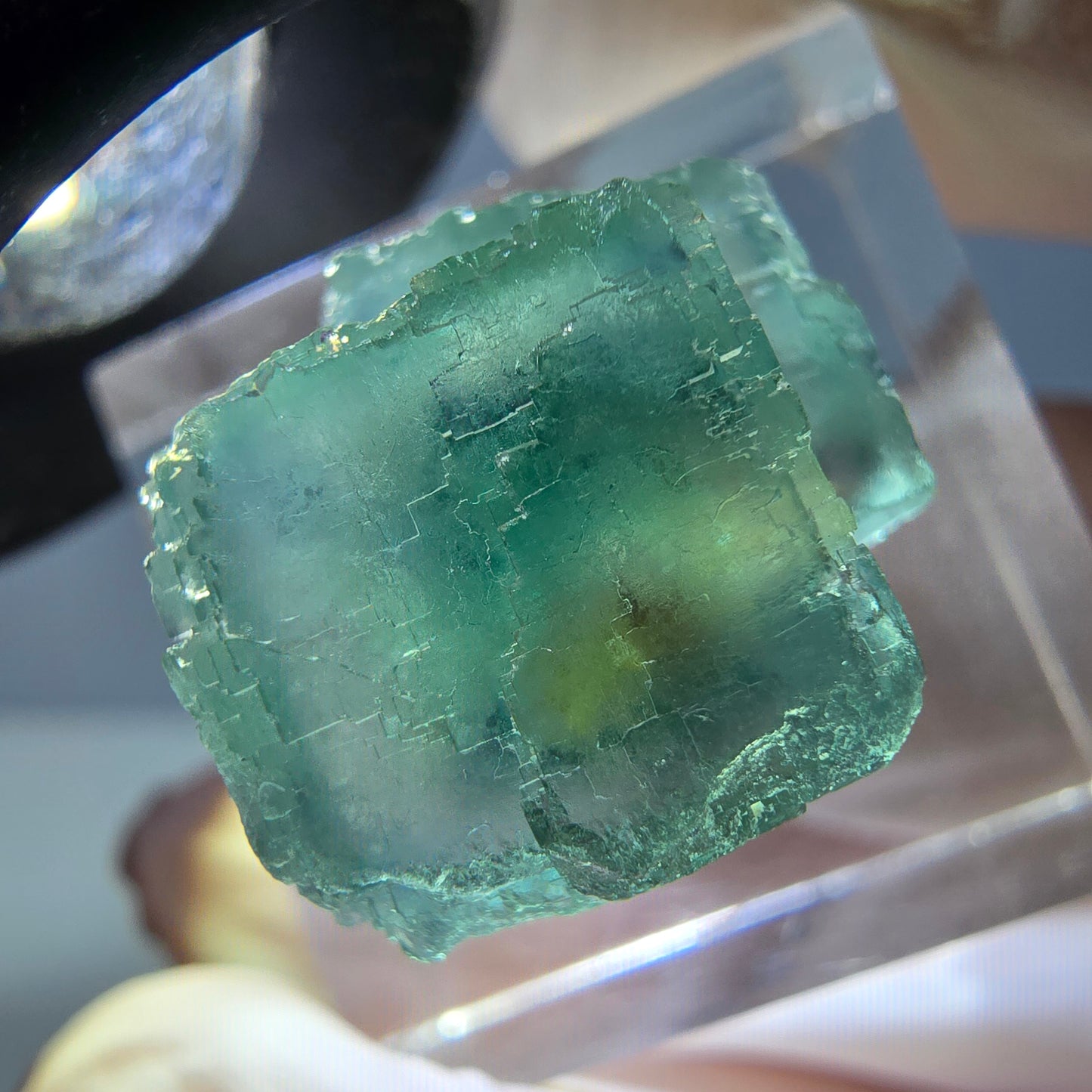 Spécimen de cube de fluorite fantôme, vert parqueté Okorusu, Namibie 16*16*16mm 