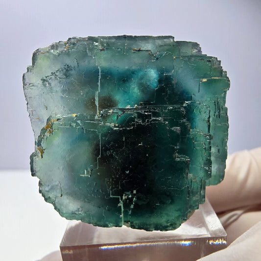 Spécimen de cube de fluorite fantôme, vert parqueté Okorusu, Namibie 44*33*26 mm 