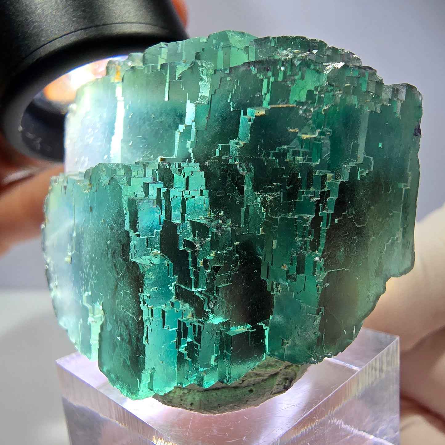 Spécimen de cube de fluorite fantôme, vert parqueté Okorusu, Namibie 44*33*26 mm 