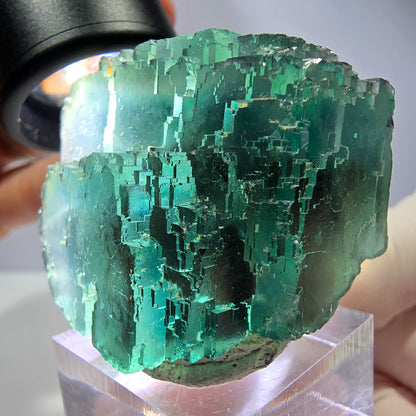 Spécimen de cube de fluorite fantôme, vert parqueté Okorusu, Namibie 44*33*26 mm 