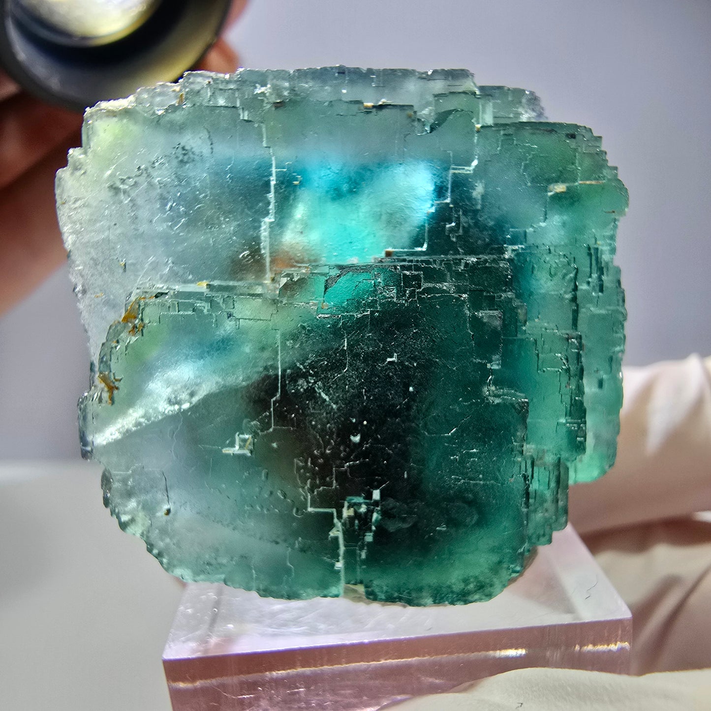 Spécimen de cube de fluorite fantôme, vert parqueté Okorusu, Namibie 44*33*26 mm 