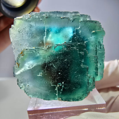 Spécimen de cube de fluorite fantôme, vert parqueté Okorusu, Namibie 44*33*26 mm 