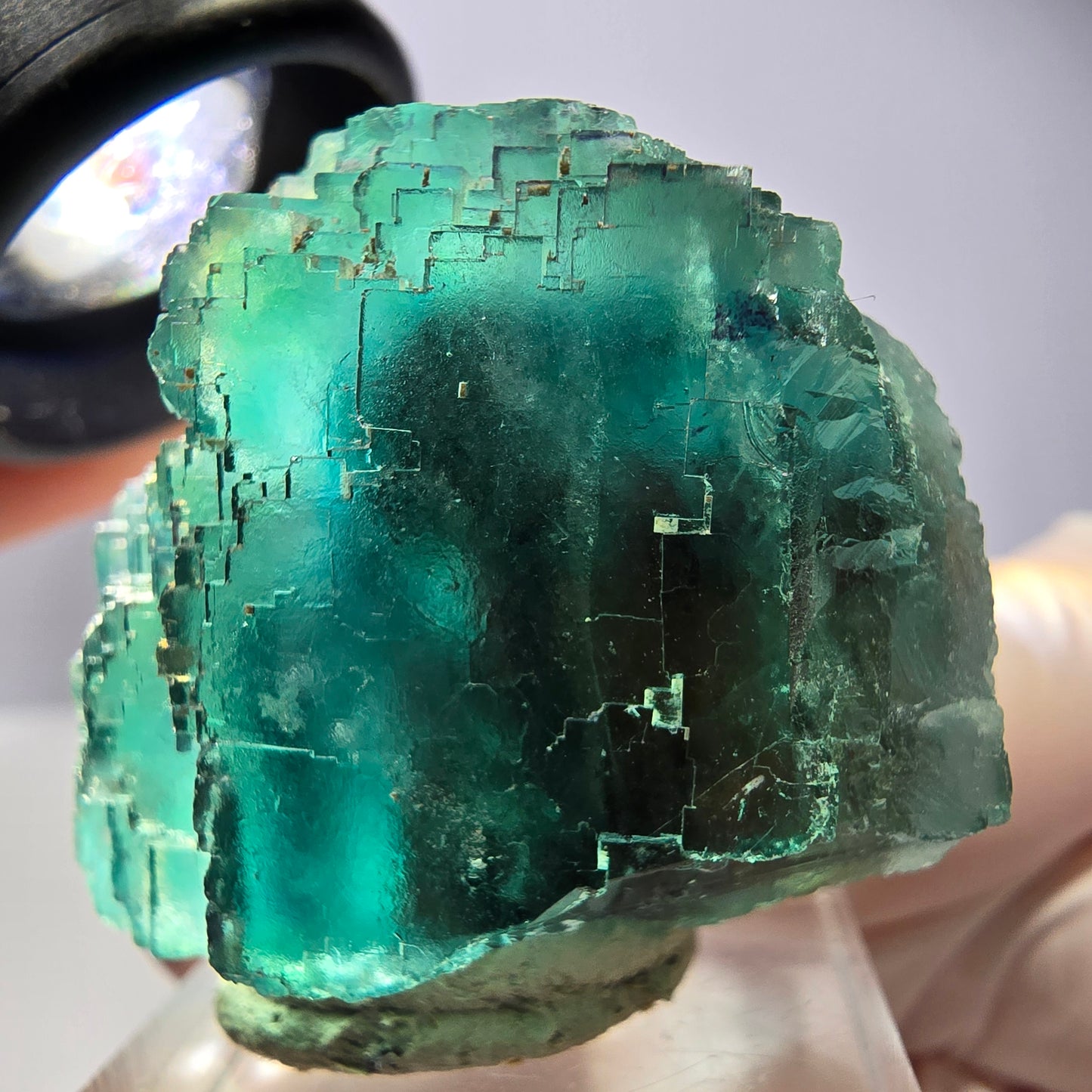 Spécimen de cube de fluorite fantôme, vert parqueté Okorusu, Namibie 44*33*26 mm 