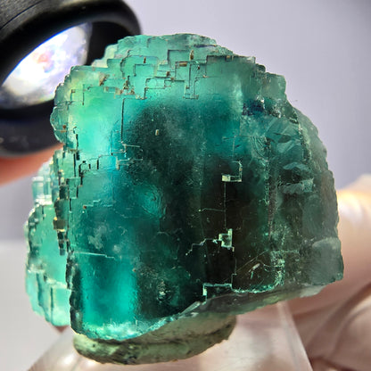 Spécimen de cube de fluorite fantôme, vert parqueté Okorusu, Namibie 44*33*26 mm 
