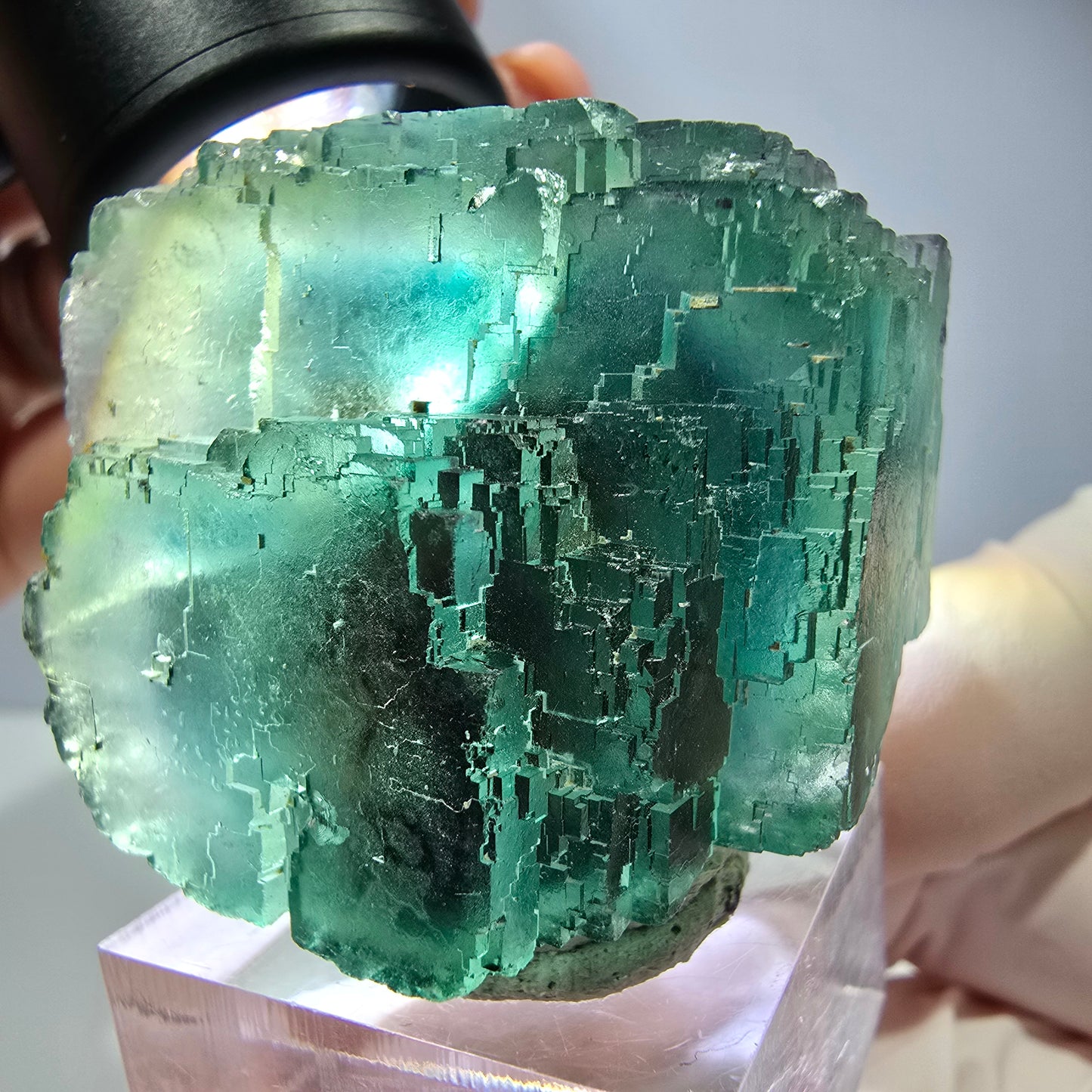 Spécimen de cube de fluorite fantôme, vert parqueté Okorusu, Namibie 44*33*26 mm 
