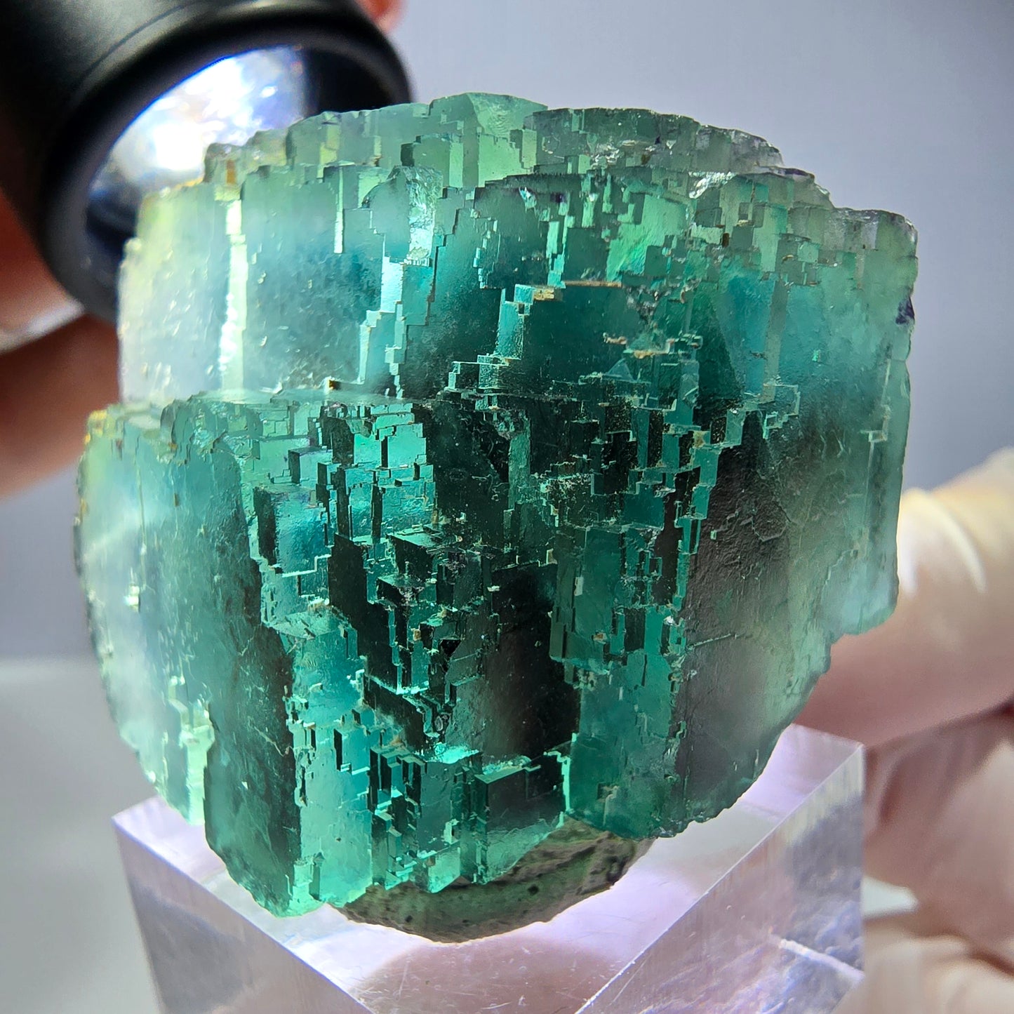 Spécimen de cube de fluorite fantôme, vert parqueté Okorusu, Namibie 44*33*26 mm 
