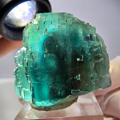 Spécimen de cube de fluorite fantôme, vert parqueté Okorusu, Namibie 44*33*26 mm 