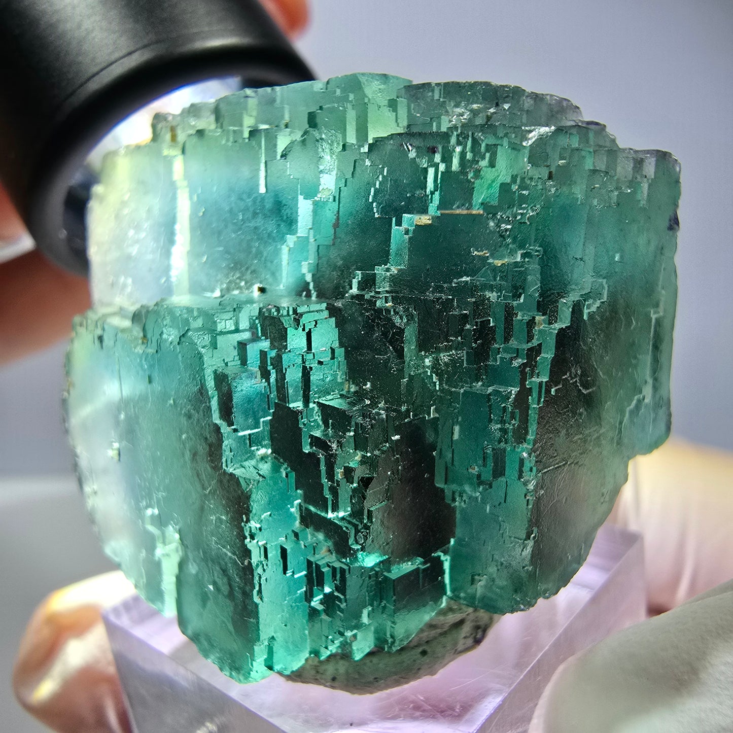 Spécimen de cube de fluorite fantôme, vert parqueté Okorusu, Namibie 44*33*26 mm 
