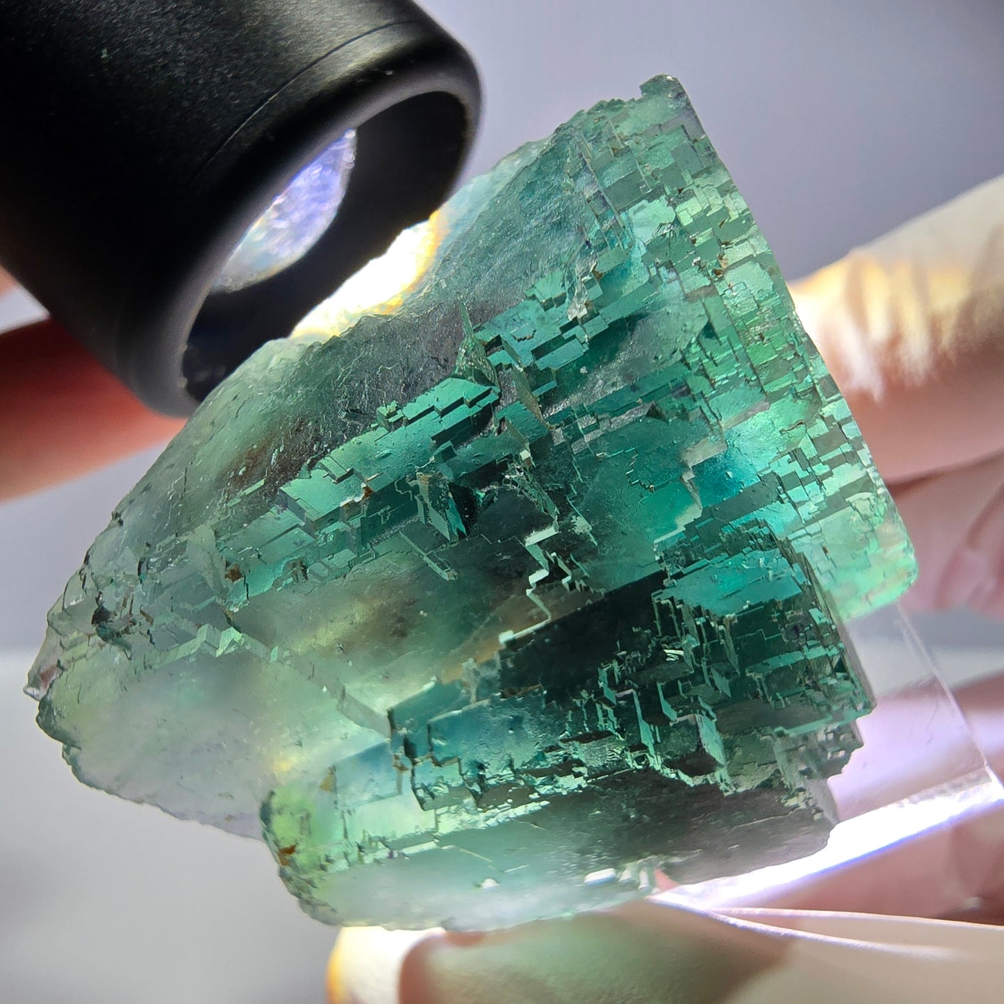 Spécimen de cube de fluorite fantôme, vert parqueté Okorusu, Namibie 44*33*26 mm 