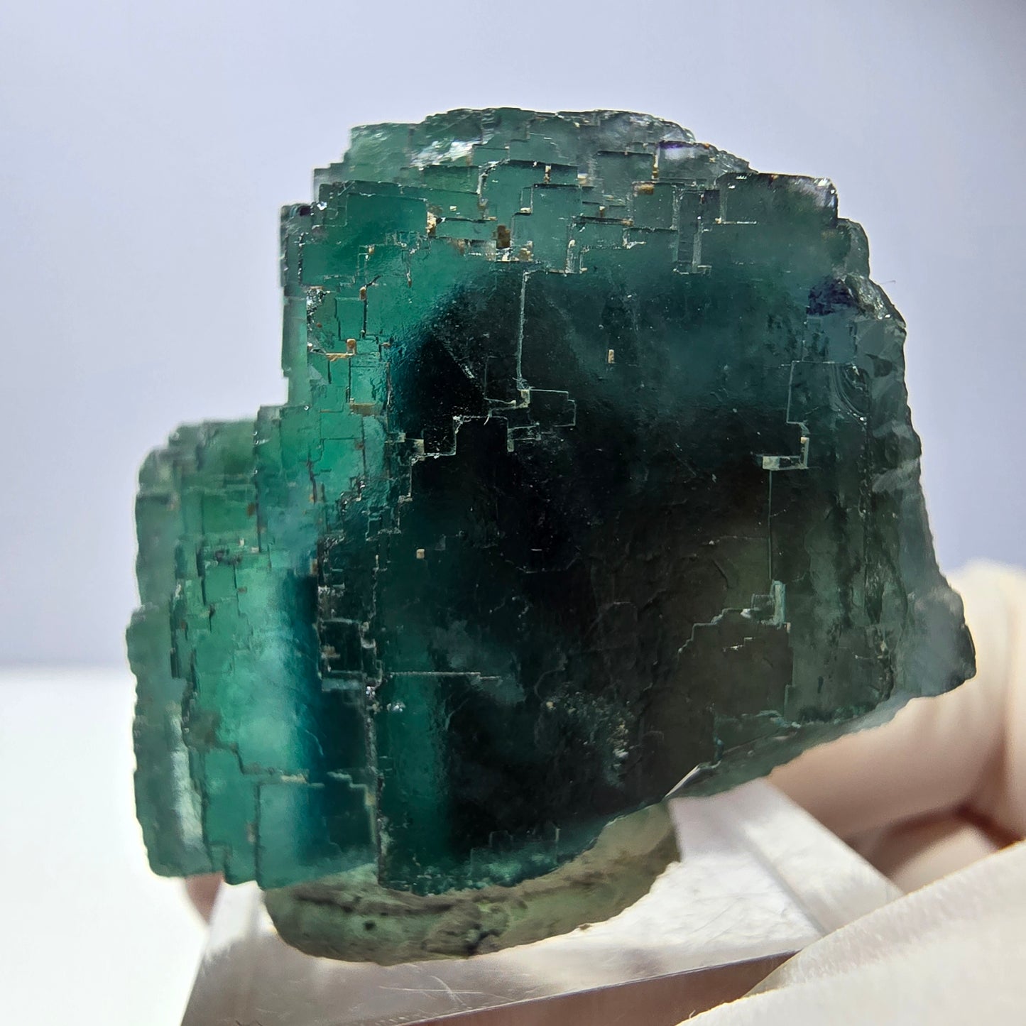 Spécimen de cube de fluorite fantôme, vert parqueté Okorusu, Namibie 44*33*26 mm 