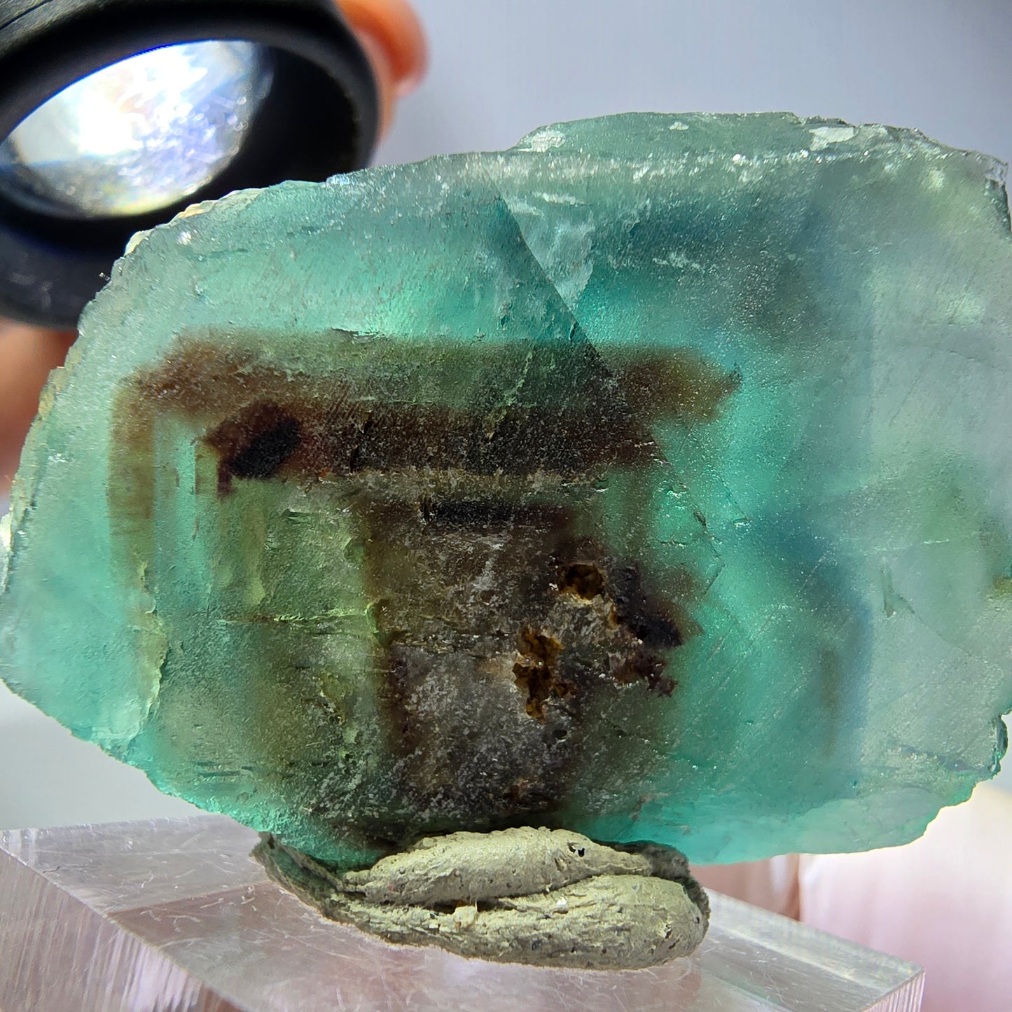 Spécimen de cube de fluorite fantôme, vert parqueté Okorusu, Namibie 44*33*26 mm 