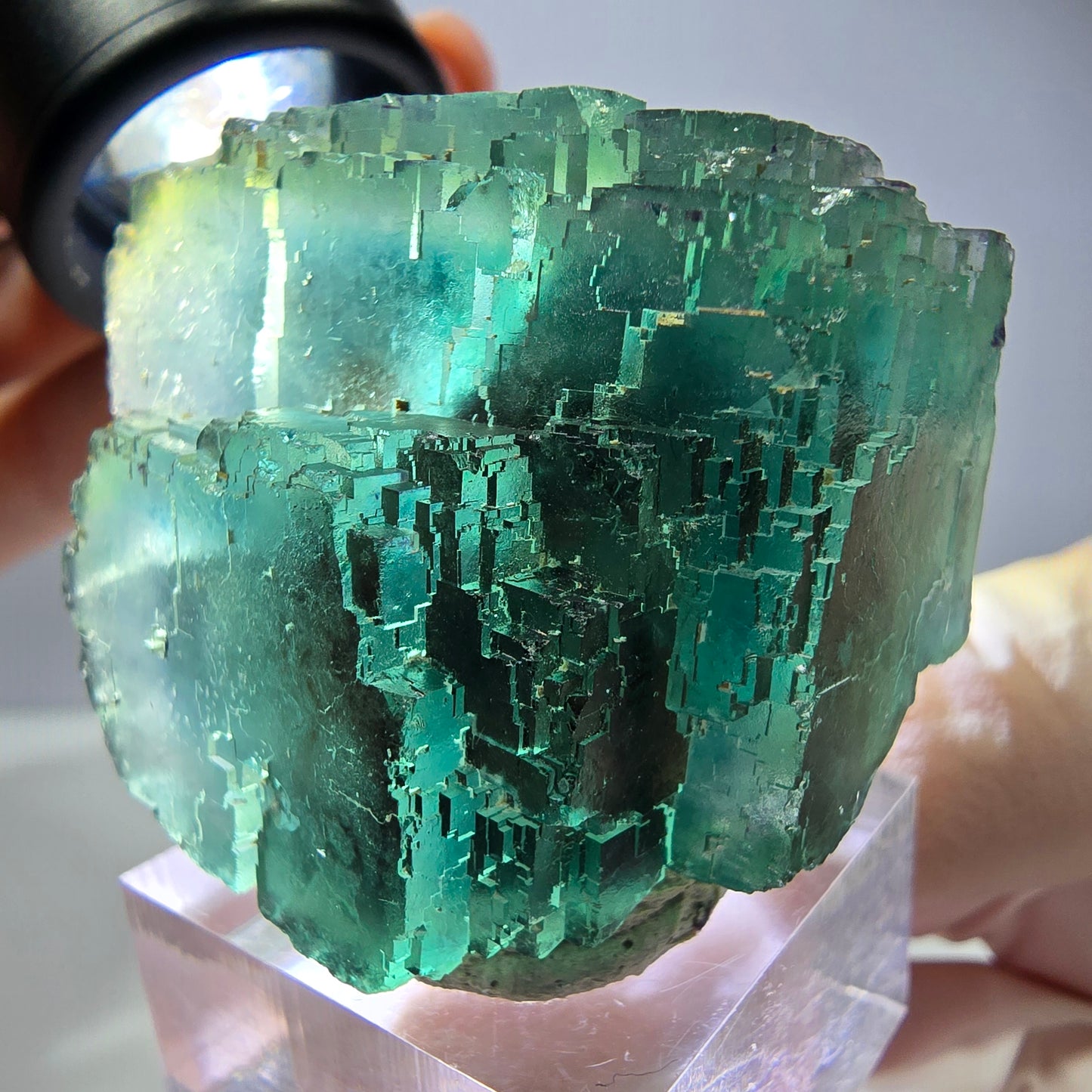 Spécimen de cube de fluorite fantôme, vert parqueté Okorusu, Namibie 44*33*26 mm 