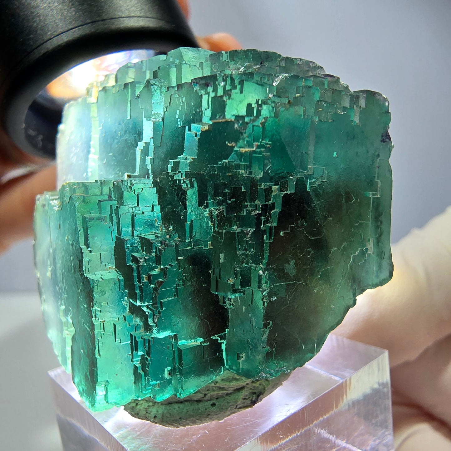 Spécimen de cube de fluorite fantôme, vert parqueté Okorusu, Namibie 44*33*26 mm 