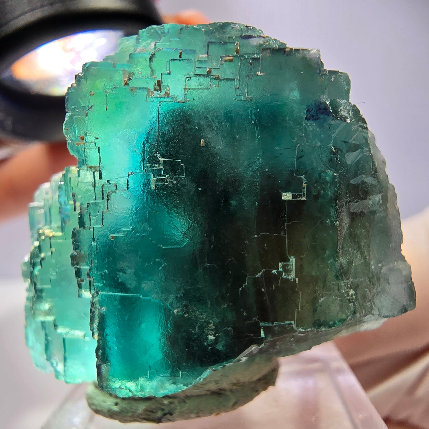 Spécimen de cube de fluorite fantôme, vert parqueté Okorusu, Namibie 44*33*26 mm 