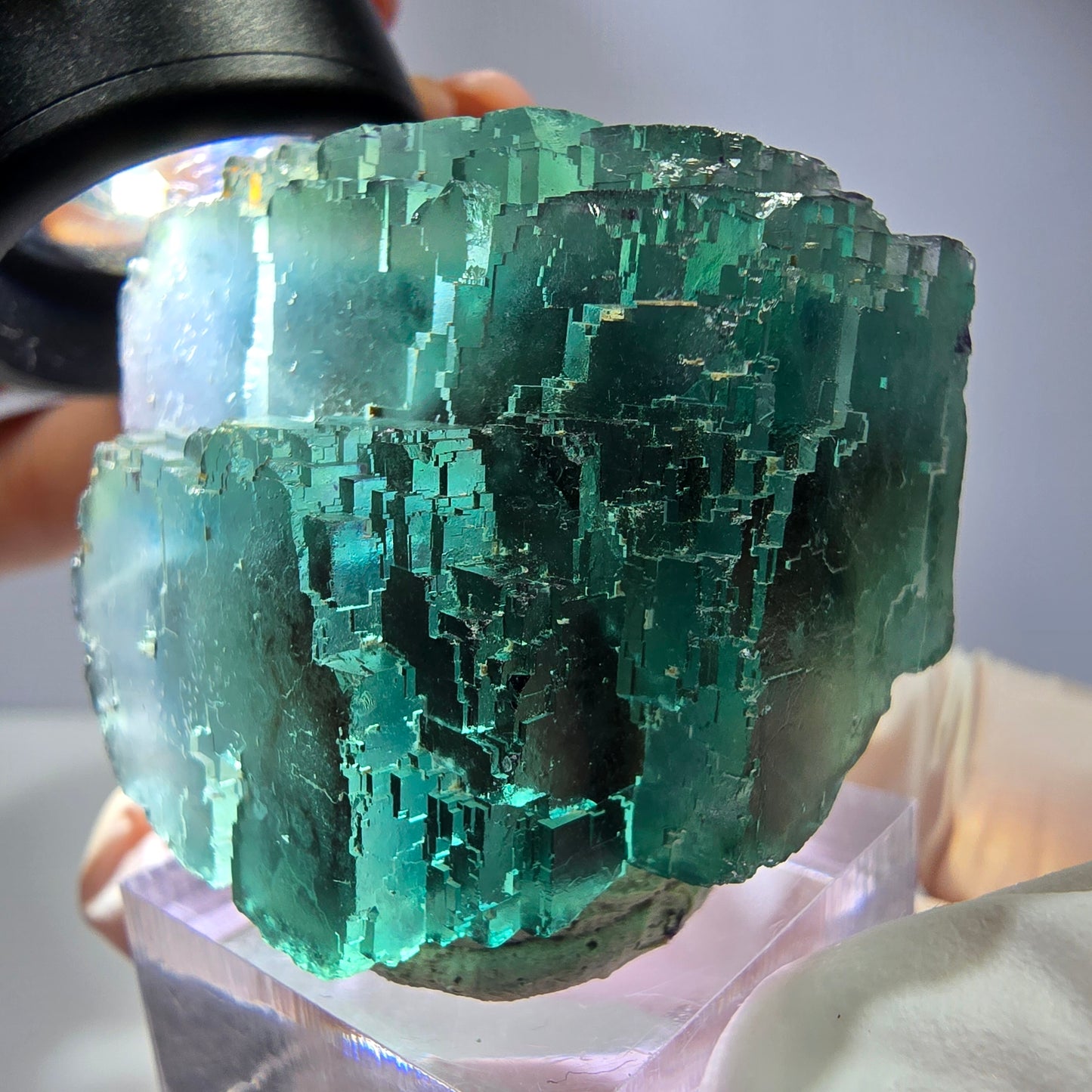 Spécimen de cube de fluorite fantôme, vert parqueté Okorusu, Namibie 44*33*26 mm 