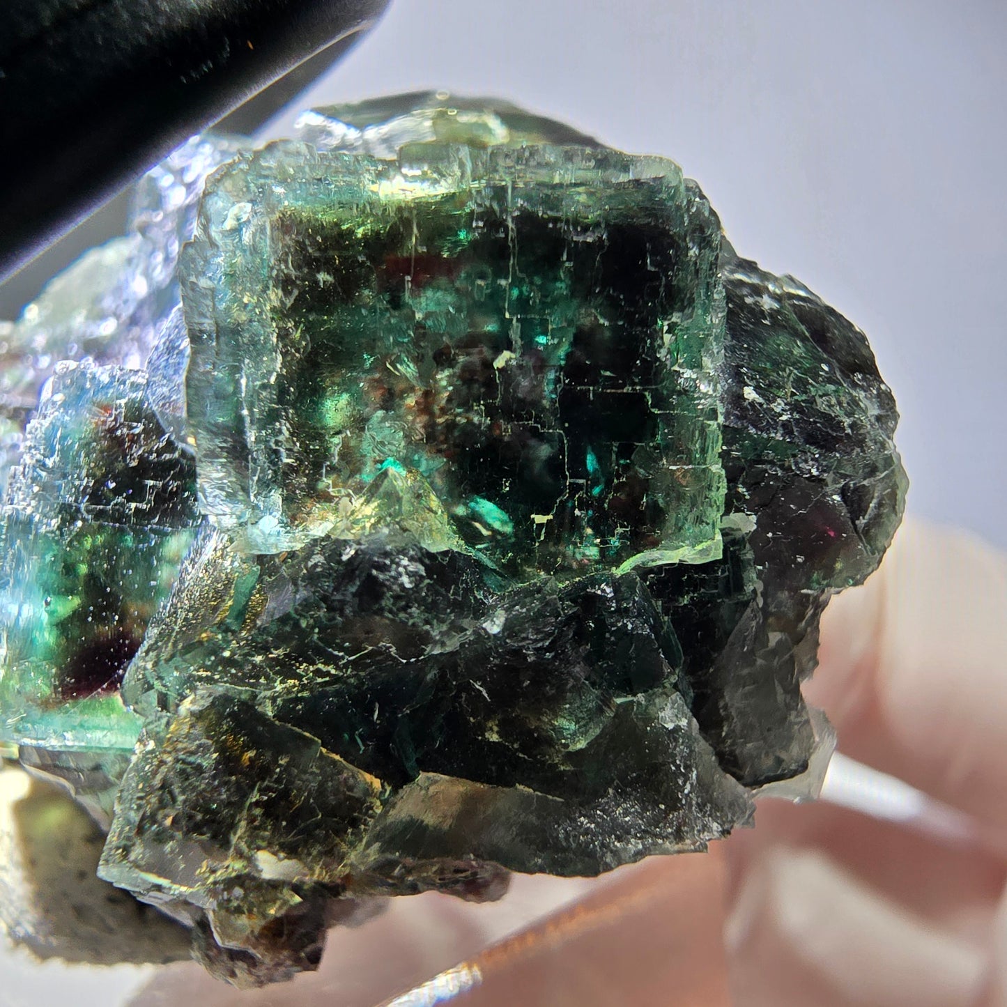 Spécimen de cube de fluorite fantôme, vert parqueté Okorusu, Namibie 36*35*21 mm 