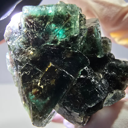 Spécimen de cube de fluorite fantôme, vert parqueté Okorusu, Namibie 36*35*21 mm 