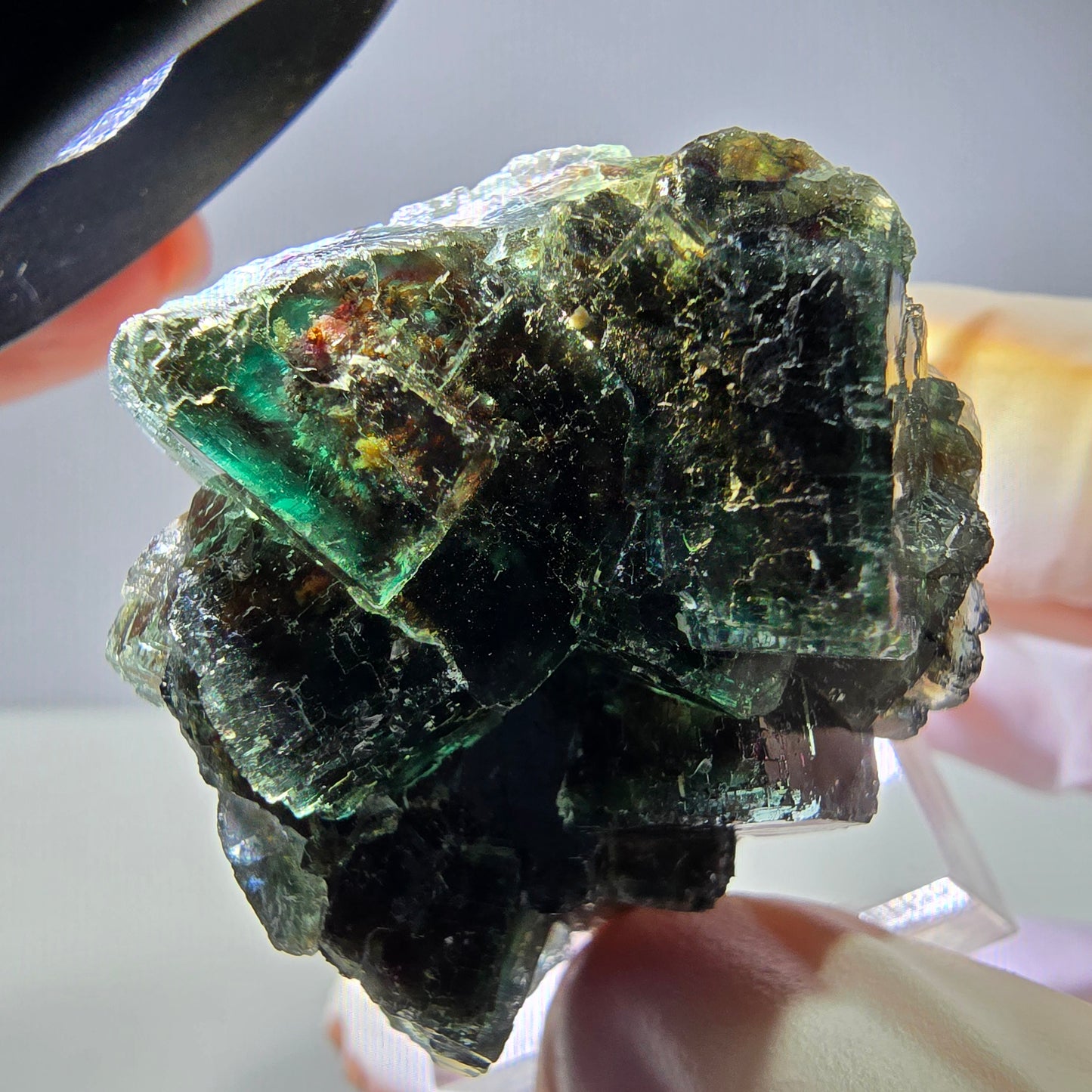 Spécimen de cube de fluorite fantôme, vert parqueté Okorusu, Namibie 36*35*21 mm 