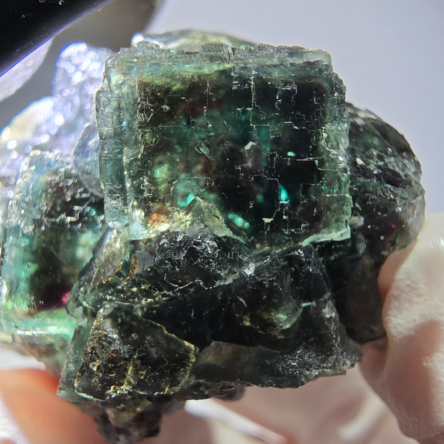 Spécimen de cube de fluorite fantôme, vert parqueté Okorusu, Namibie 36*35*21 mm 