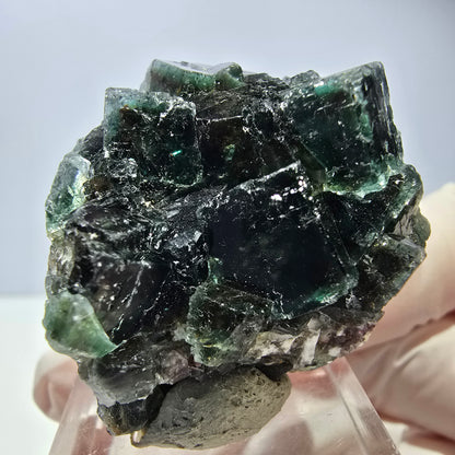 Spécimen de cube de fluorite fantôme, vert parqueté Okorusu, Namibie 36*35*21 mm 