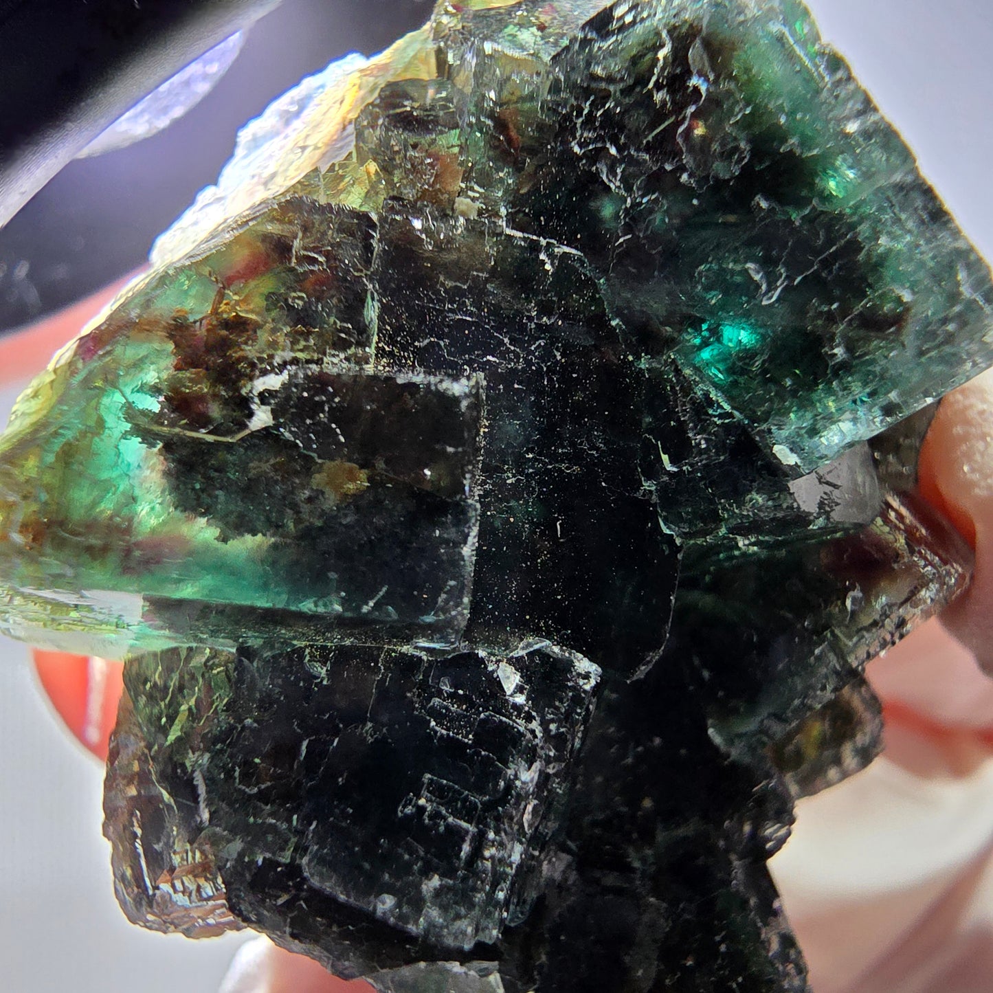 Spécimen de cube de fluorite fantôme, vert parqueté Okorusu, Namibie 36*35*21 mm 