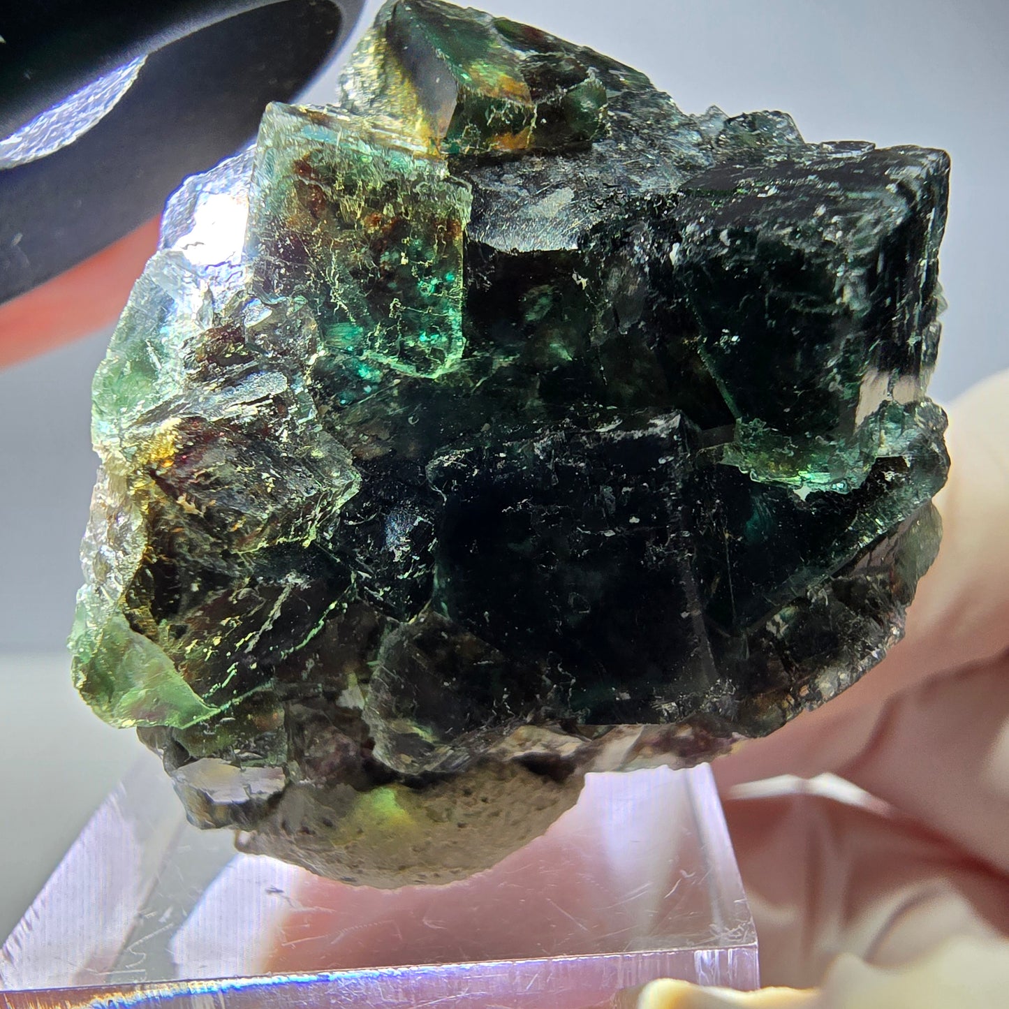 Spécimen de cube de fluorite fantôme, vert parqueté Okorusu, Namibie 36*35*21 mm 