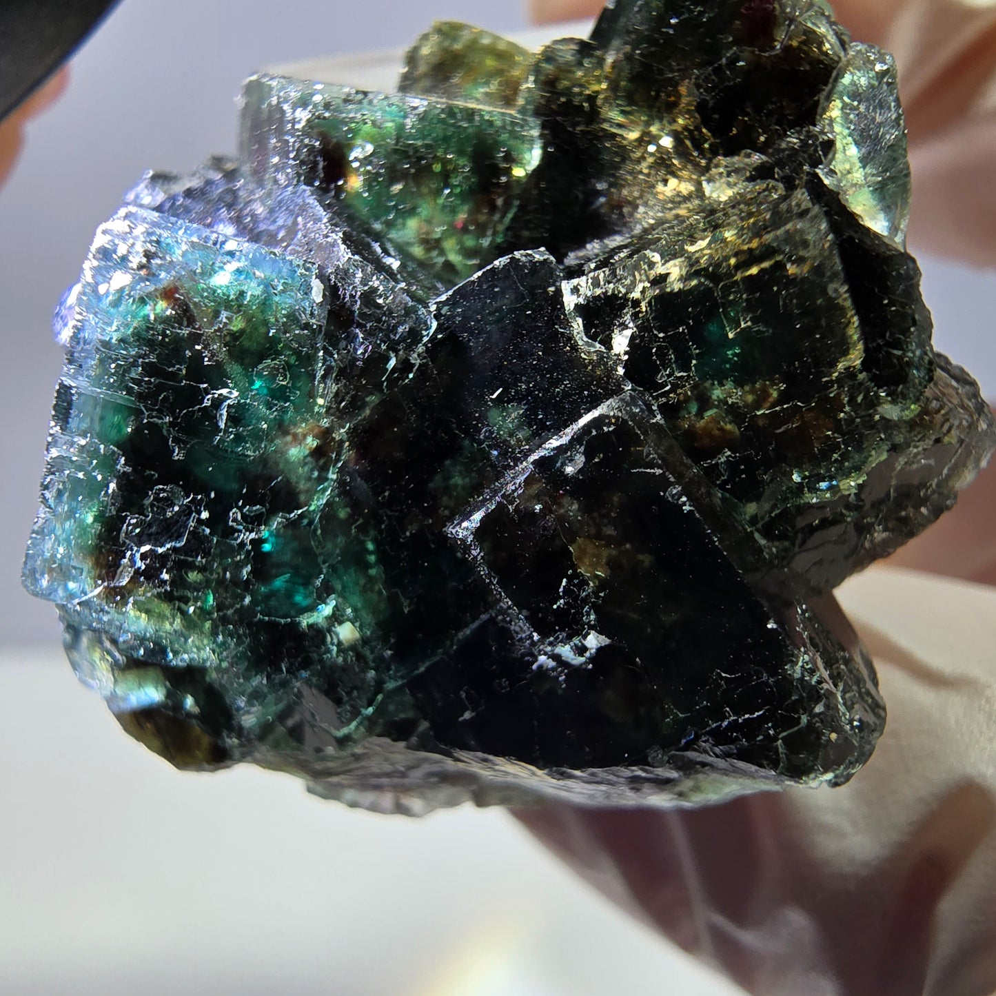 Spécimen de cube de fluorite fantôme, vert parqueté Okorusu, Namibie 36*35*21 mm 
