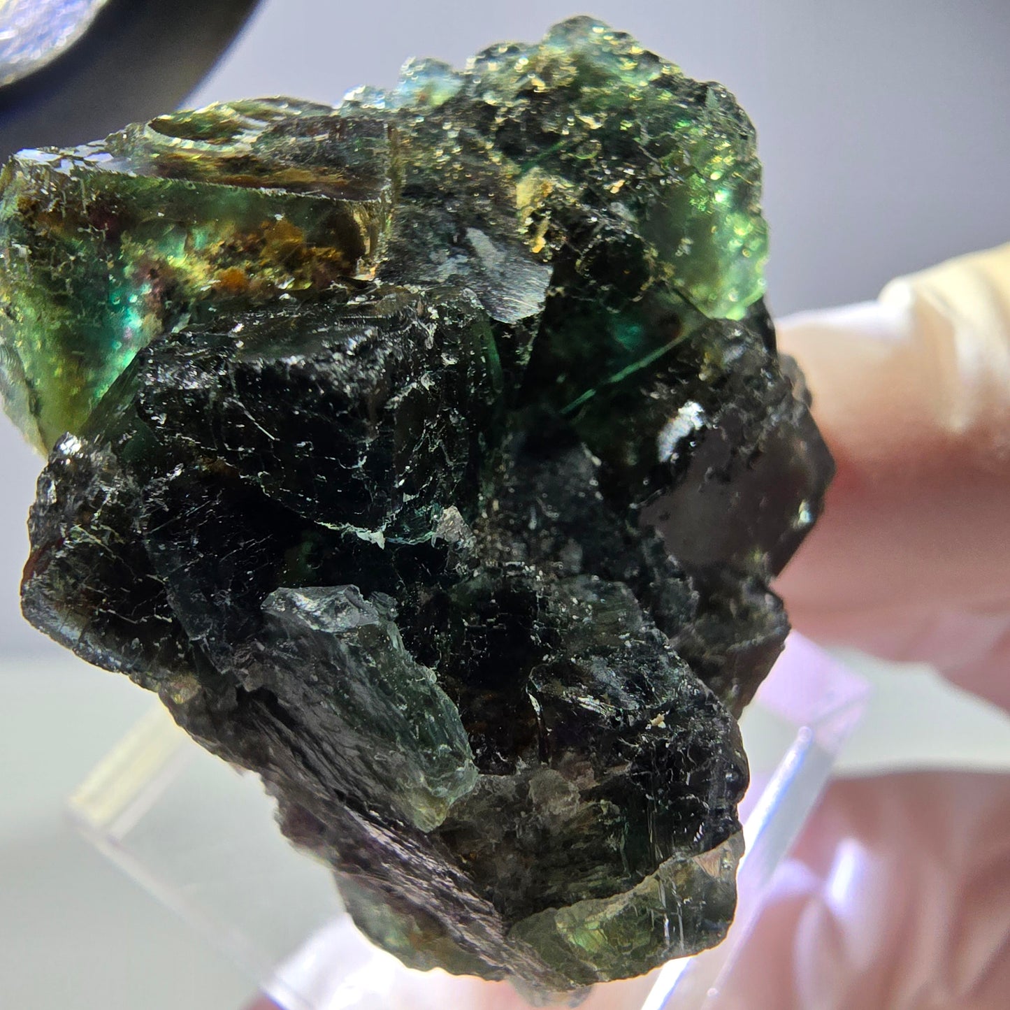 Spécimen de cube de fluorite fantôme, vert parqueté Okorusu, Namibie 36*35*21 mm 