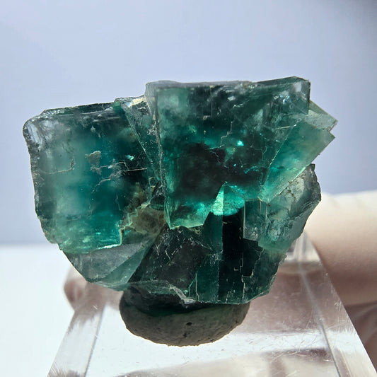Spécimen de cube de fluorite fantôme, vert parqueté Okorusu, Namibie 29*24*17mm 