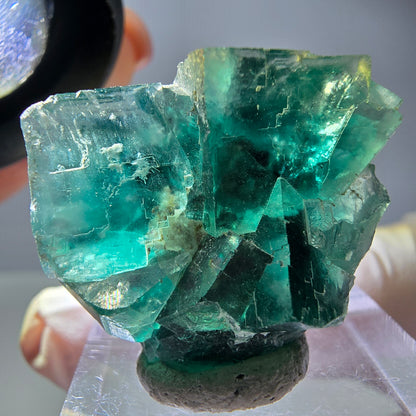 Spécimen de cube de fluorite fantôme, vert parqueté Okorusu, Namibie 29*24*17mm 