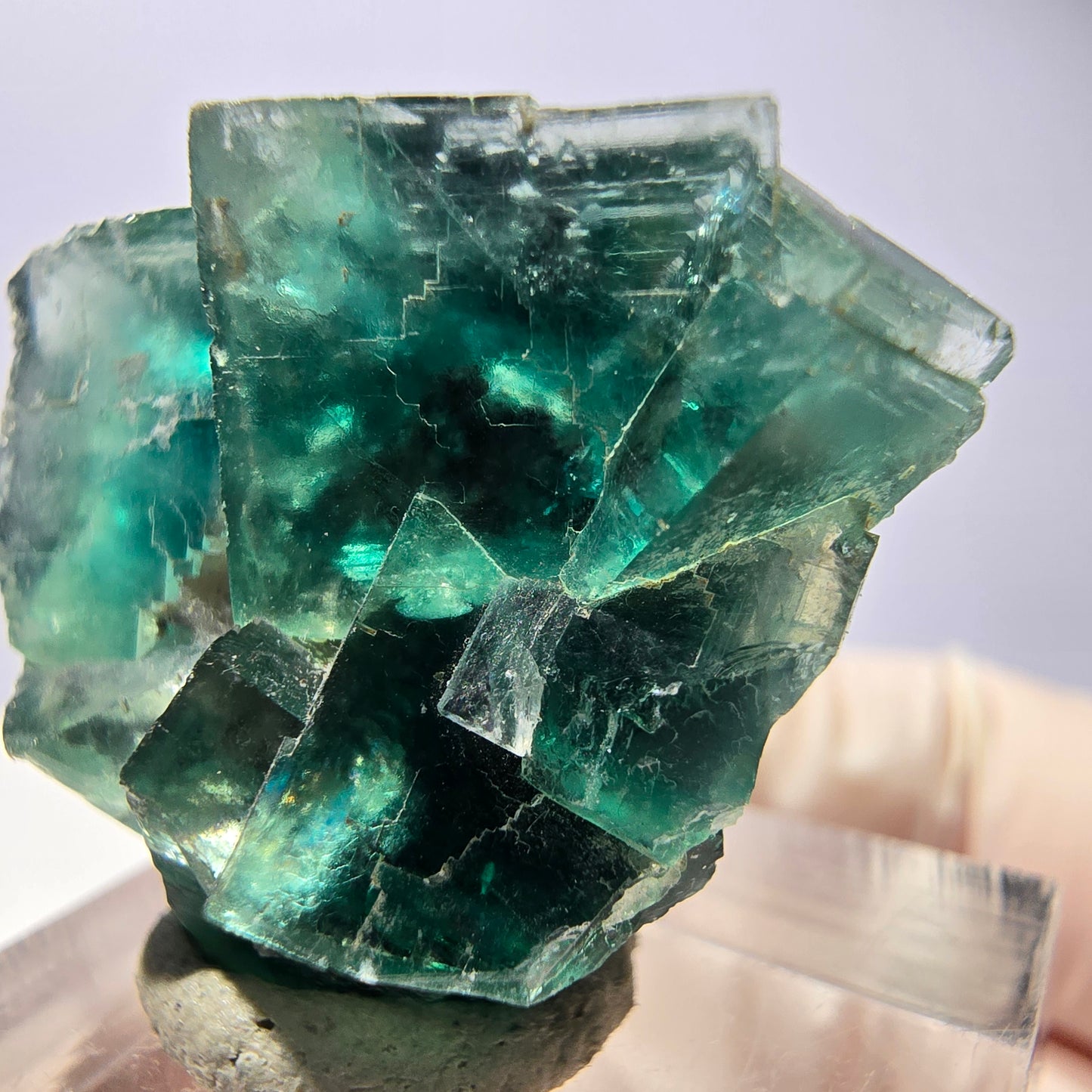 Spécimen de cube de fluorite fantôme, vert parqueté Okorusu, Namibie 29*24*17mm 