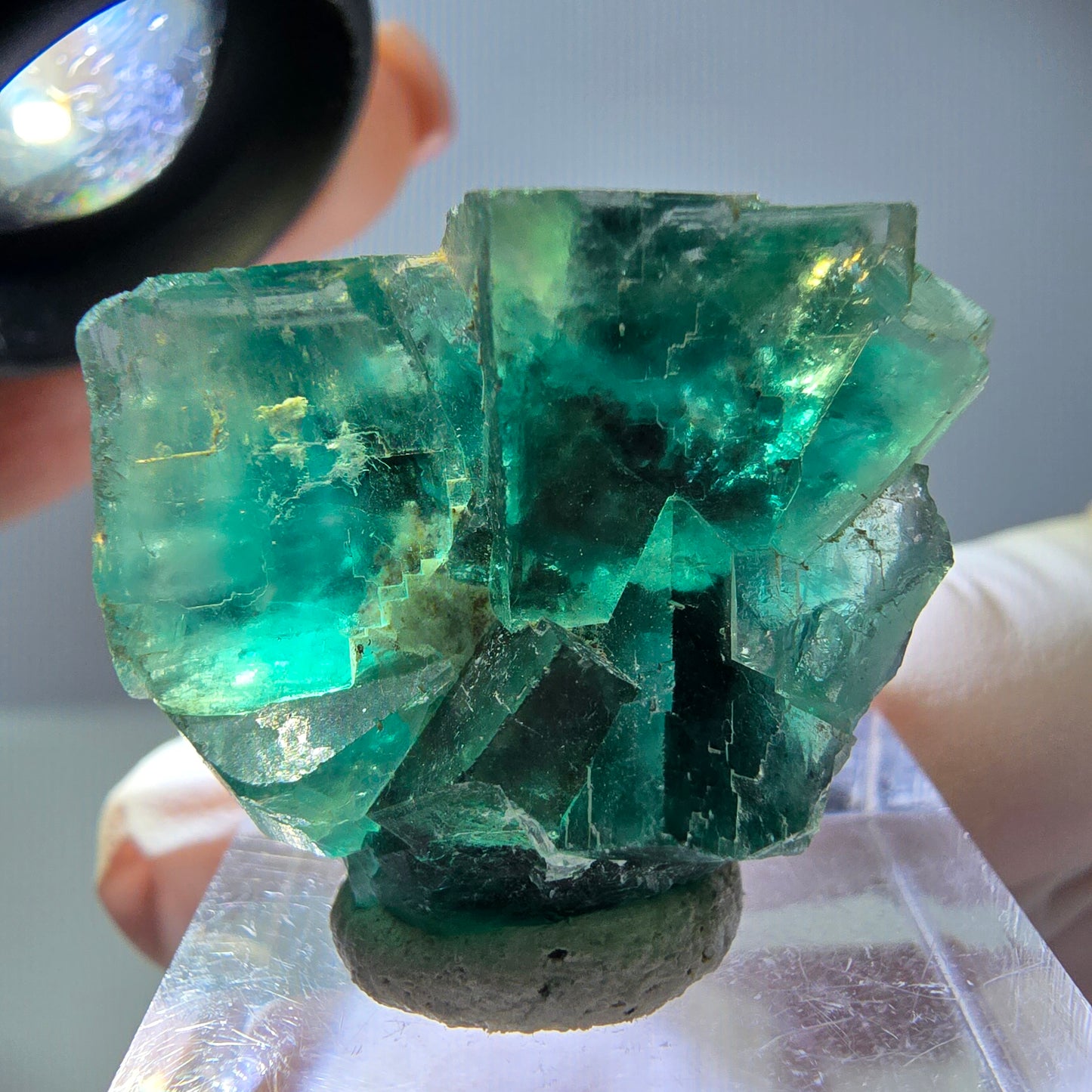 Spécimen de cube de fluorite fantôme, vert parqueté Okorusu, Namibie 29*24*17mm 