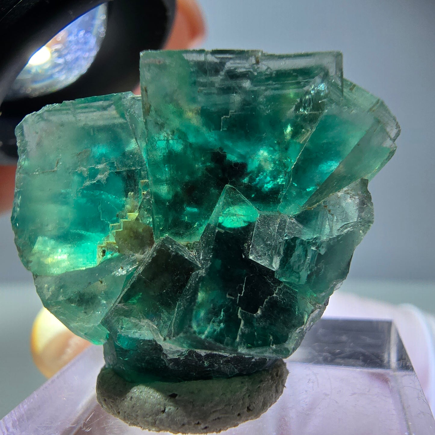 Spécimen de cube de fluorite fantôme, vert parqueté Okorusu, Namibie 29*24*17mm 