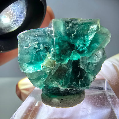 Spécimen de cube de fluorite fantôme, vert parqueté Okorusu, Namibie 29*24*17mm 