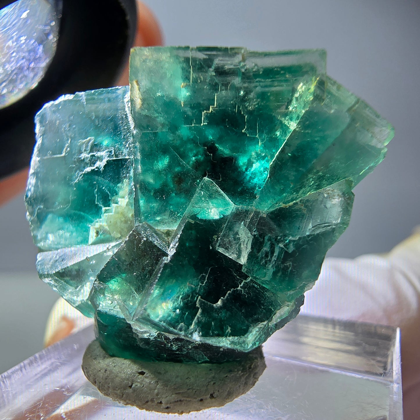 Spécimen de cube de fluorite fantôme, vert parqueté Okorusu, Namibie 29*24*17mm 