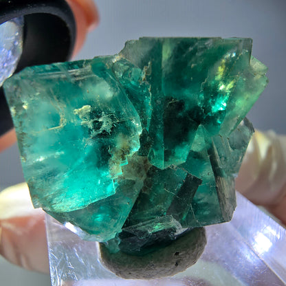 Spécimen de cube de fluorite fantôme, vert parqueté Okorusu, Namibie 29*24*17mm 