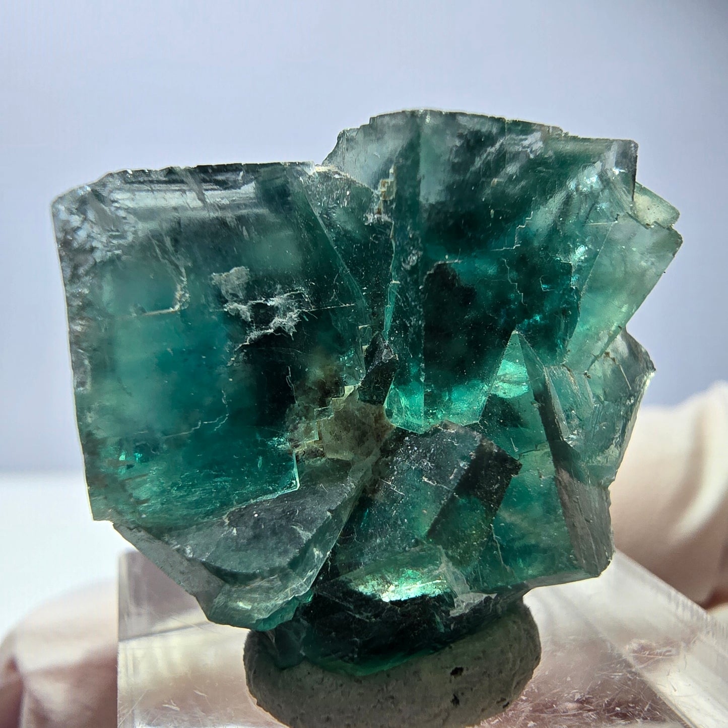 Spécimen de cube de fluorite fantôme, vert parqueté Okorusu, Namibie 29*24*17mm 