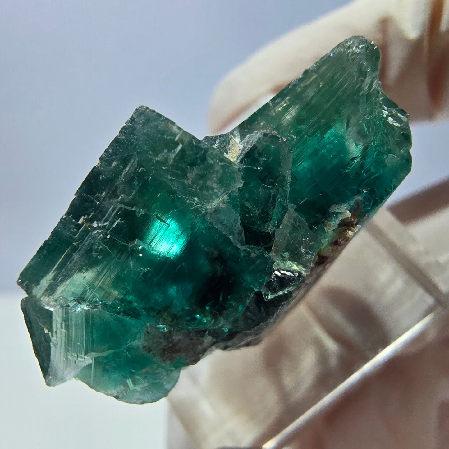 Spécimen de cube de fluorite fantôme, vert parqueté Okorusu, Namibie 29*24*17mm 