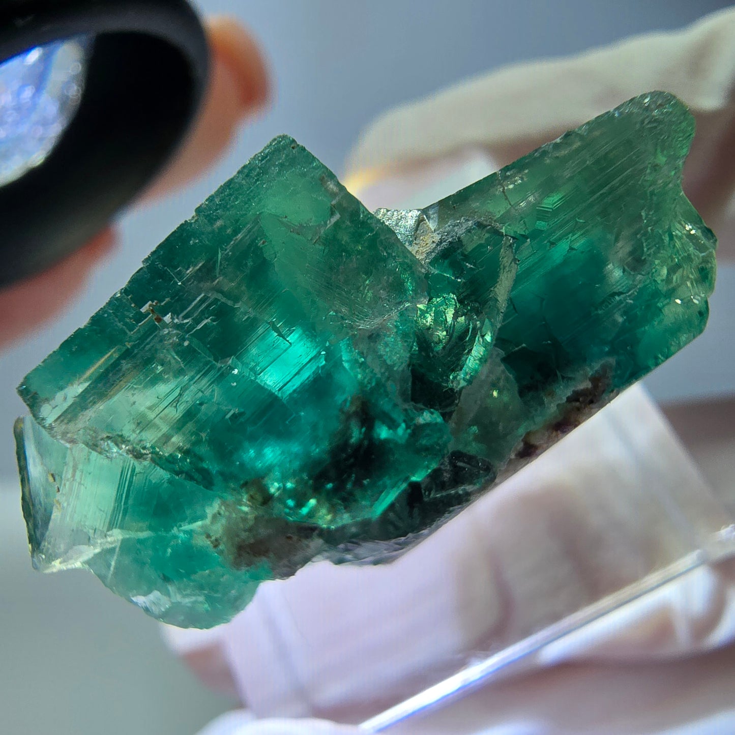 Spécimen de cube de fluorite fantôme, vert parqueté Okorusu, Namibie 29*24*17mm 