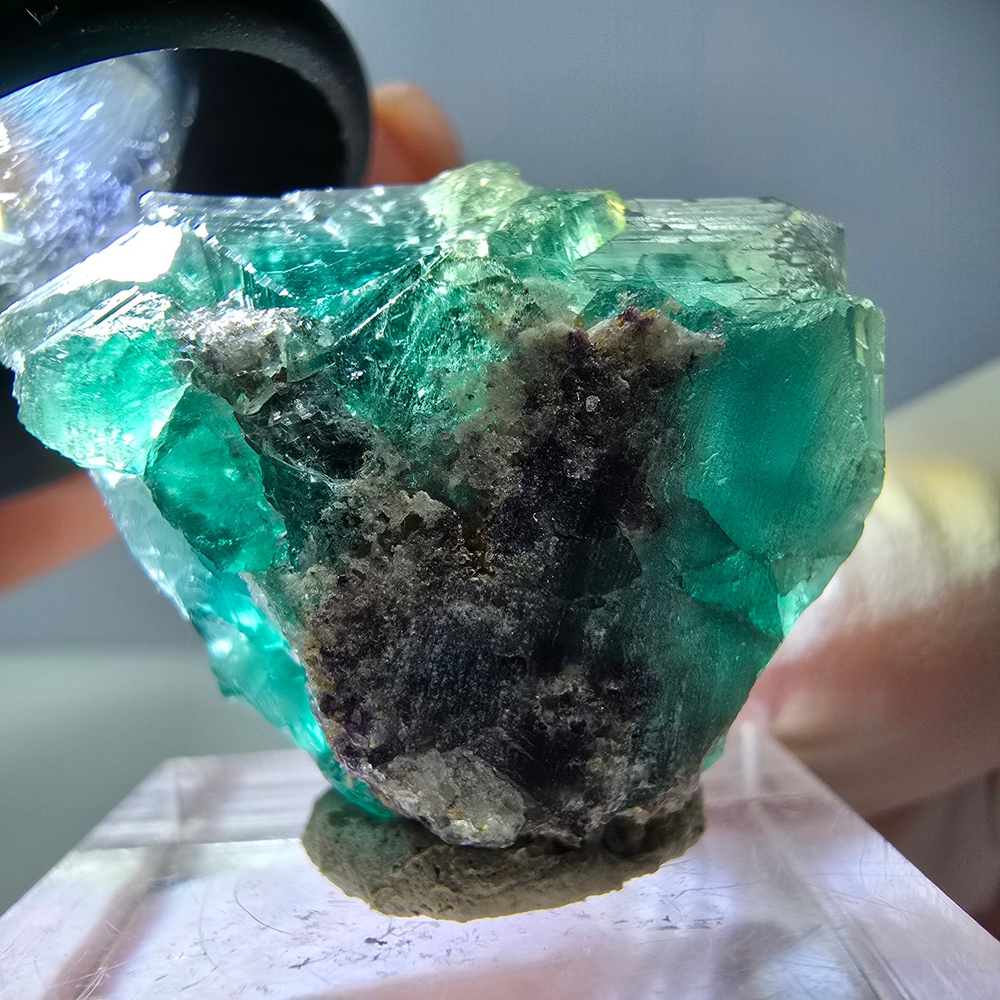 Spécimen de cube de fluorite fantôme, vert parqueté Okorusu, Namibie 29*24*17mm 